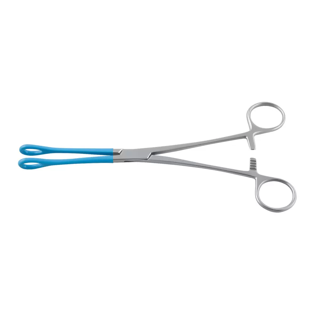 Ring Forceps (22 cm) — 130-165